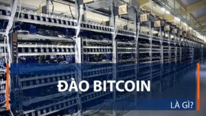 Đào Bitcoin 2025: Cơ Hội Hay Rủi Ro Cho Nhà Đầu Tư?