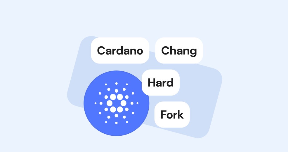 Hard Fork Chang là gì?